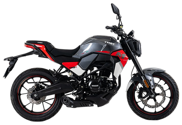 Мотоцикл TMBK MONTANA 250 (165 FMM) ЭПТС Grey Red pitbikemarket.ru