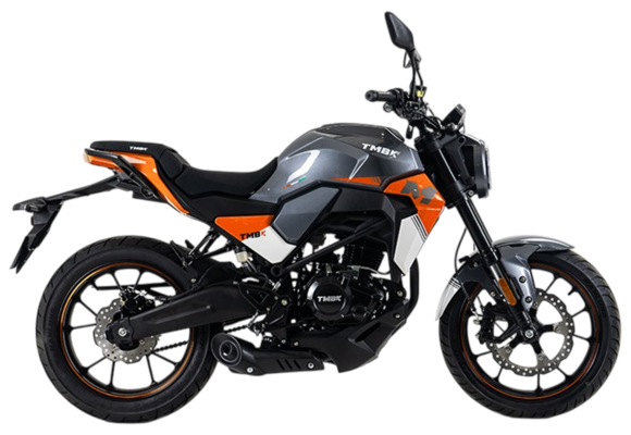 Мотоцикл TMBK MONTANA 250 (165 FMM) ЭПТС Grey Orange pitbikemarket.ru
